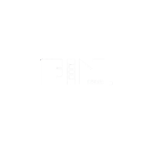 FIN Logo